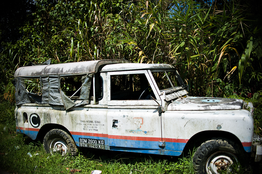 DSC_2466_copy.jpg