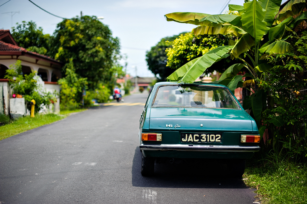 DSC_4555_copy.jpg